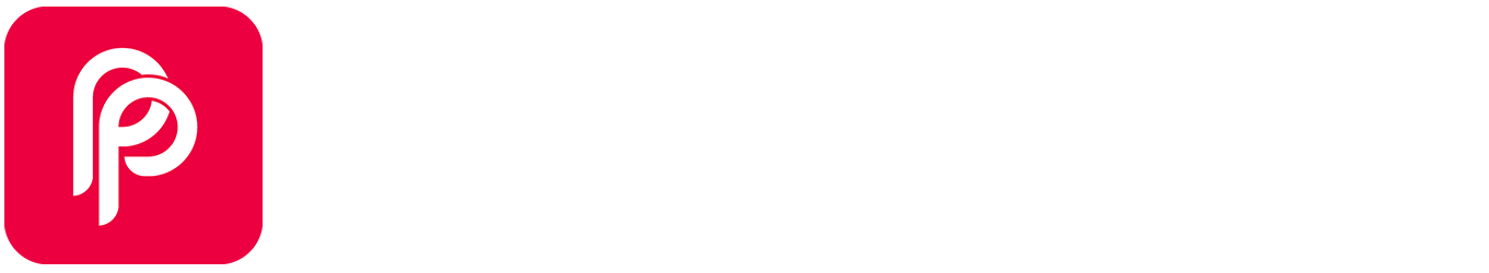Pioneer's Perspective